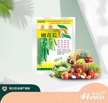 豆角嫩直長(zhǎng)-華爾沃