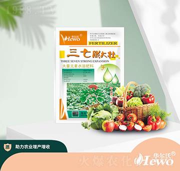 三七膨大壯-華爾沃