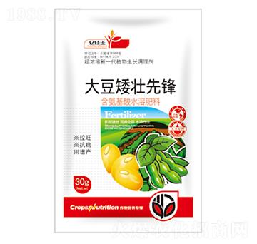 大豆矮壯先鋒-億佳豐