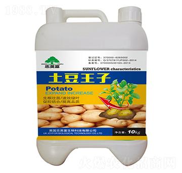 土豆王子-億佳豐