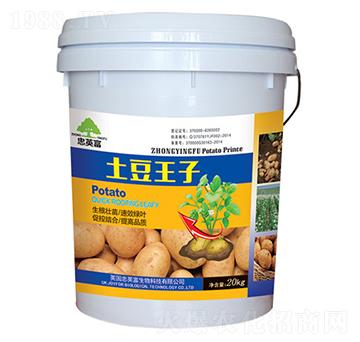 土豆王子（桶）-億佳豐