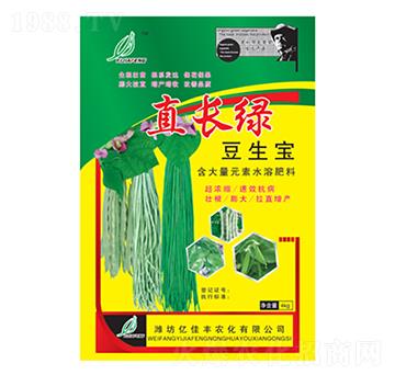 直長綠豆生寶-億佳豐