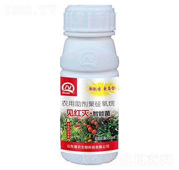 Ҋ(ji��n)�t�硤���ܾ�-��(qi��ng)�r(n��ng)����