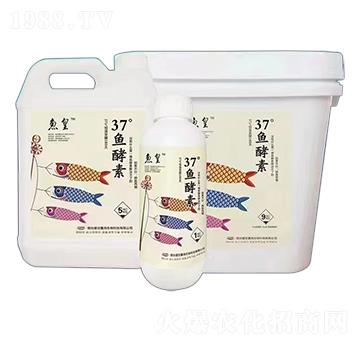 37°魚(yú)酵素-魚(yú)皇-盛世嘉海