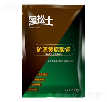 礦源黃腐酸鉀-黑松土-農(nóng)大肥業(yè)