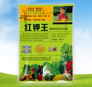 �t���-���ؠ��r(n��ng)��