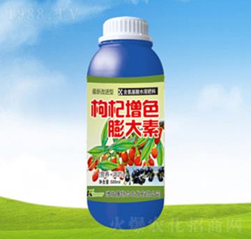 �����ɫ�����-���ؠ��r(n��ng)��