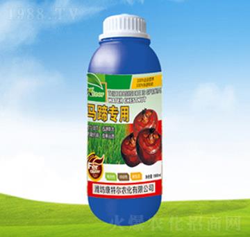 �R�㌣�þ�Ʒ�~���-���ؠ��r(n��ng)��