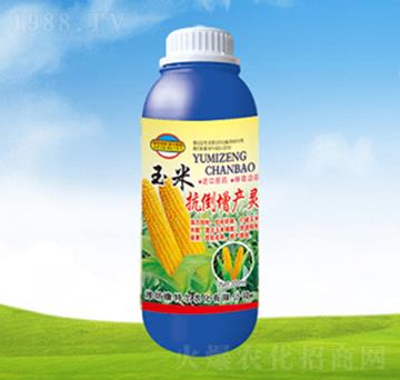 ���׿������a(ch��n)�`-���ؠ��r(n��ng)��