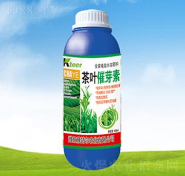 ���~��ѿ��-���ؠ��r(n��ng)��