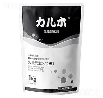 ����ľ�M(j��n)������߻���-�ۃ�(ch��)