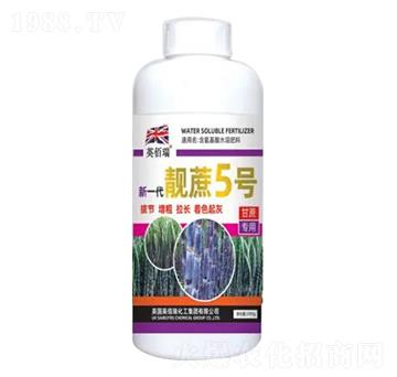 1000g��һ���n��5̖(h��o)-�sҫ�r(n��ng)�I(y��)