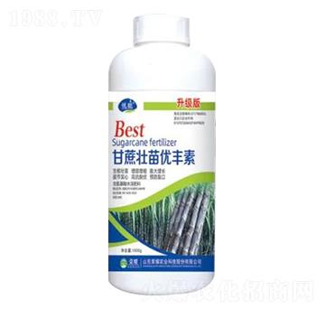 1000g������烞(y��u)�S��������-�sҫ�r�I(y��)