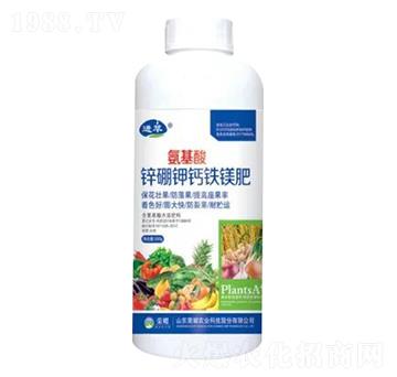 1000g�������\����}�F�V��-�sҫ�r(n��ng)�I(y��)