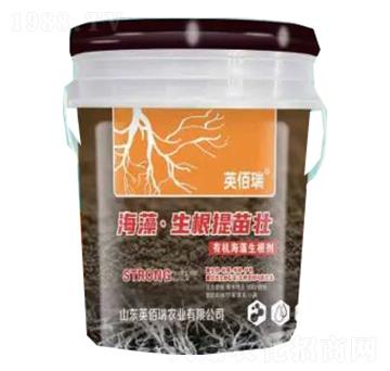 海藻·生根提苗壯-榮耀農(nóng)業(yè)