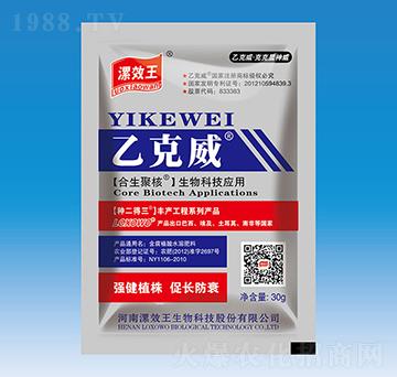 乙克威-種二得三