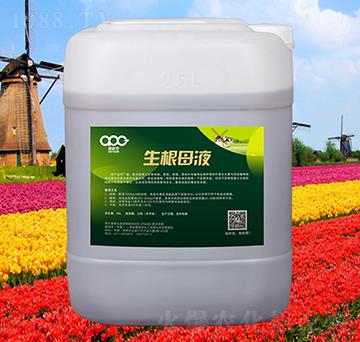 生根母液-愛派克