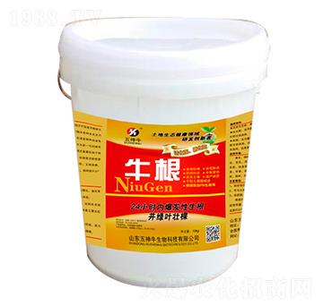 ������-ţ��-����ţ