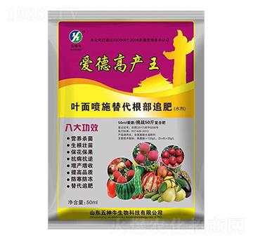 �~���-�۵¸߮a��-����ţ