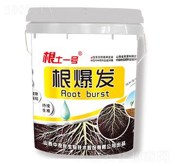 根爆發(fā)-根土一號-中農(nóng)化
