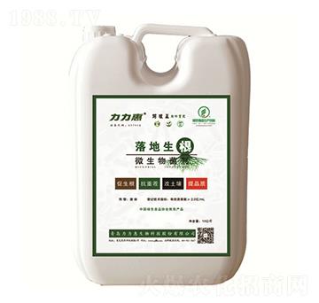 ΢�������-�������-����������