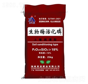 �����{(di��o)��������ø���-���{�ʘI(y��)