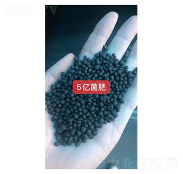 5億菌肥-中農(nóng)