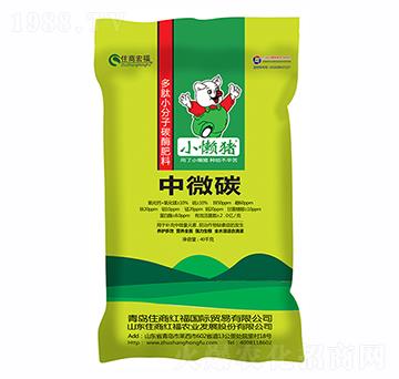 ��΢̼-С���i-ס�̇��H