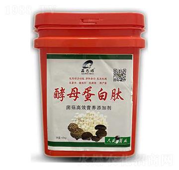 酵母蛋白肽-菇為媒-科達(dá)生物