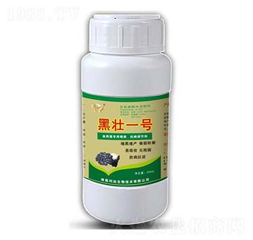 菇笑笑·黑壯一號-科達(dá)生物
