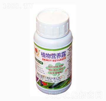 ֲ��I(y��ng)�B(y��ng)¶-�R���S�r(n��ng)�I(y��)