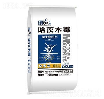 ����ľù΢�������-���r(n��ng)���F(tu��n)