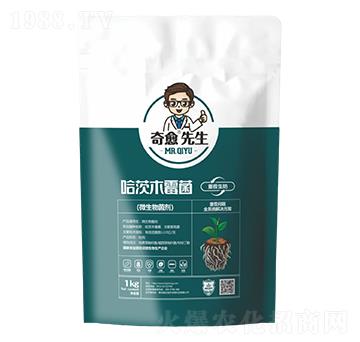 哈茨木霉困重茬生防-奇愈先生-瀚正益農(nóng)