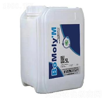 �����_�����z���f-�����_