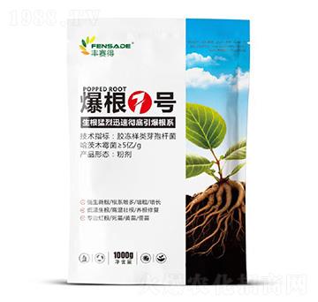 ����1̖-�Sِ��