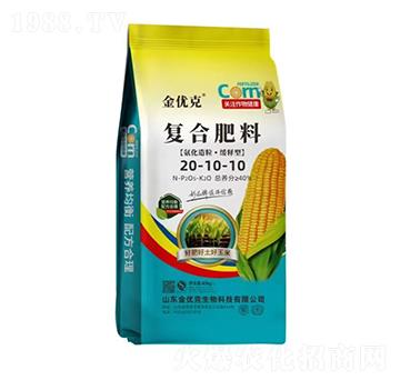 ��������������͏�(f��)�Ϸ���20-10-10-����(y��u)��