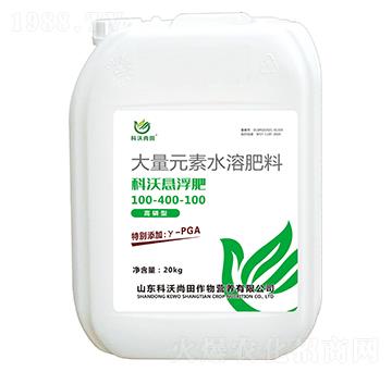 ���֑Ҹ���100-400-100-��������