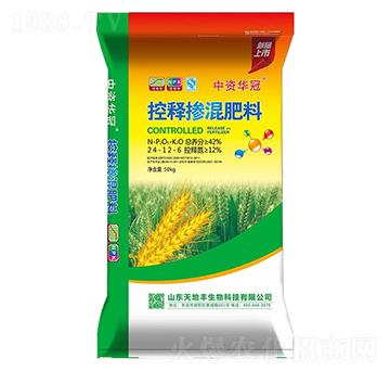 ��ጓ������24-12-6-���Y�A��-����S