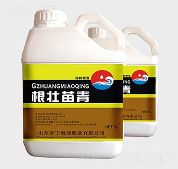 ���������_ʩ��-�����