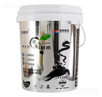 ������̼ø����-�����