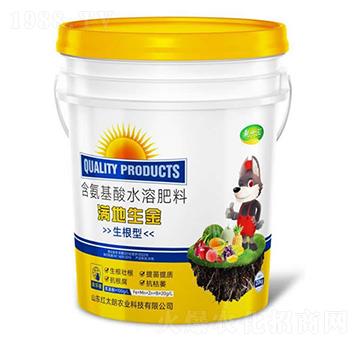 滿地生金-生根型含氨基酸水溶肥料-乾十三-紅太朗農(nóng)業(yè)