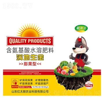 滿地生金-膨果型含氨基酸水溶肥料20kg-乾十三-紅太朗農(nóng)業(yè)