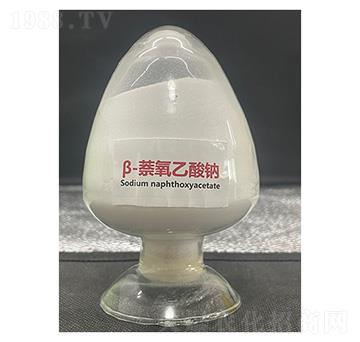 ��-���������c-��������