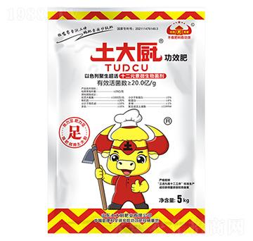 ʮ��Ԫ��΢�������-����N