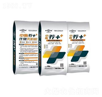 �ЙC(j��)�o�C(j��)��(f��)�����-�B(y��ng)++-�к�