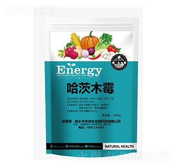 哈茨木霉-及時雨