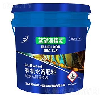 酶解馬尾藻原液-藍望海精靈-藻之藍