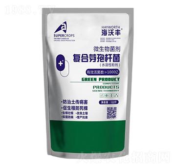 ��(f��)��ѿ�ߗU��-�����S-��������