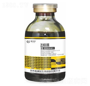 ��ϼ�(x��)������-��(x��)�|(zh��)-̩����