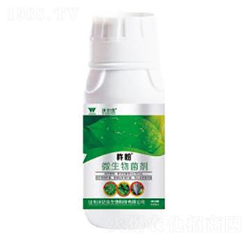 �׷�ʭ������΢�������-�Ʒ�-�֠���(y��u)